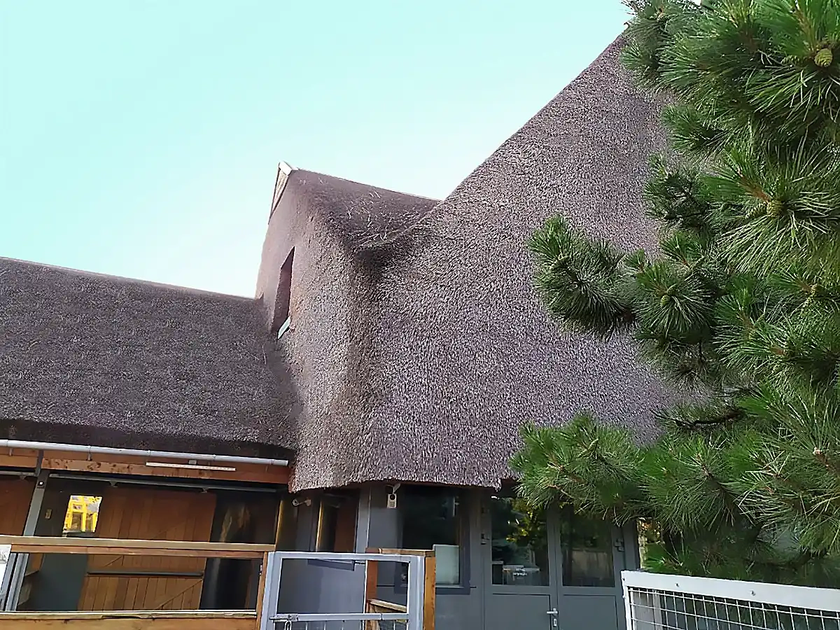 Соломенная крыша