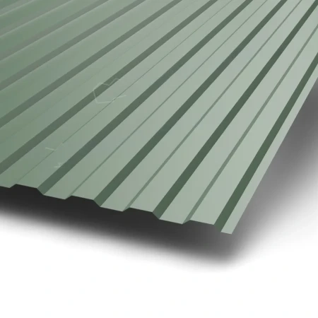 МП-10 Puretan 0,5 RR 11