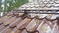 Кровельная лестница Borge на скате