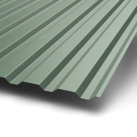 МП-20 Puretan 0.5 RR 11