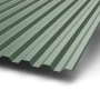 С-21 Puretan 0.5 RR 11 С-21 Puretan 0.5 RR 11