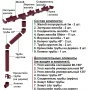 Комплект пластикового водостока d-120/90 мм ГрандЛайн Классика бордо RAL 3005   фото