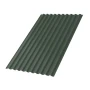 С-21 Puretan 0.5 RR 11 С-21 Puretan 0.5 RR 11