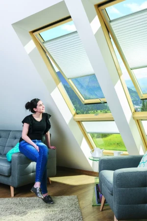 Мансардное окно Fakro LUX FPP-V Max U3 preSelect   фото