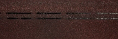 Premium бисквит