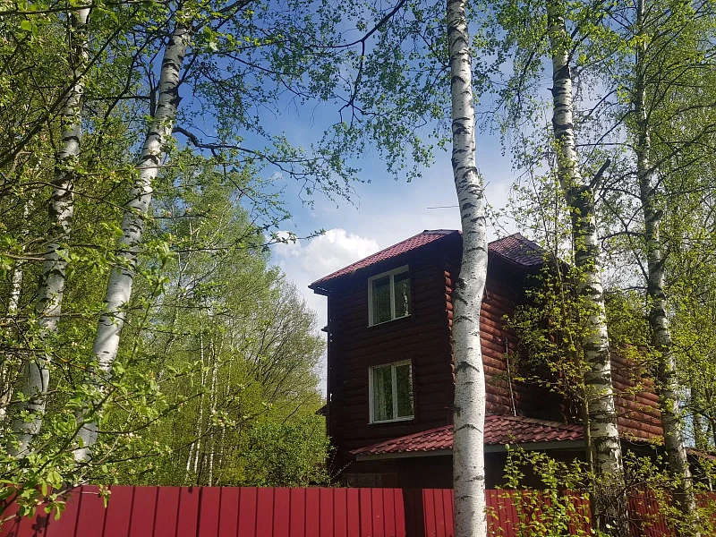 Дом среди берёз с крышей Grand Line Classic Satin красный RAL 3005