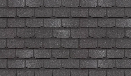 Женева фладен