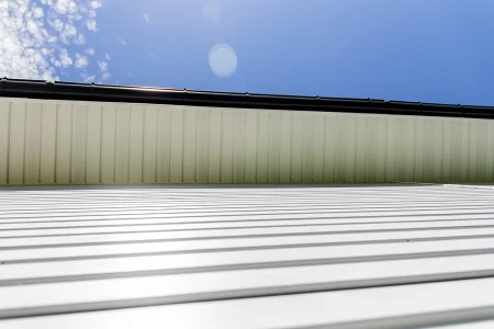 Виниловый софит Grand Line T4 Классика с частичной перфорацией белый Виниловый софит Grand Line T4 Классика с частичной перфорацией белый