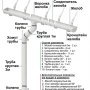 Комплект пластикового водостока d-120x80 мм Döcke Standard белый RAL 9003   фото