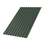 С-21 Puretan 0.5 RR 11 С-21 Puretan 0.5 RR 11