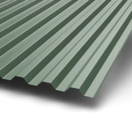 С-21 Puretan 0.5 RR 11 С-21 Puretan 0.5 RR 11