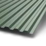 С-21 Puretan 0.5 RR 11 С-21 Puretan 0.5 RR 11