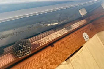 Что стало с деревянными мансардными окнами за 28 лет